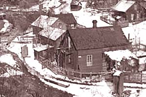 Swede Hollow